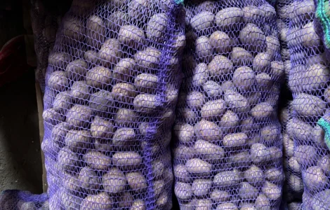 Куплю картошку