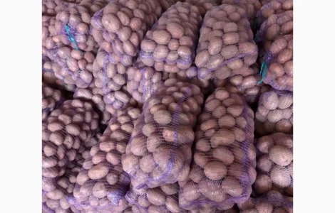 Продам товарну картоплю