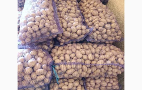 Продам картоплю