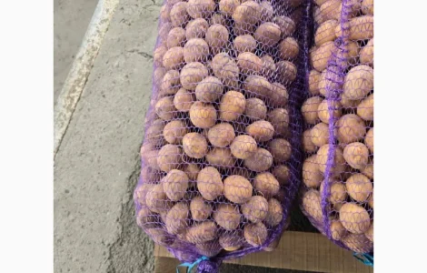 Дрібна картопля Арізона