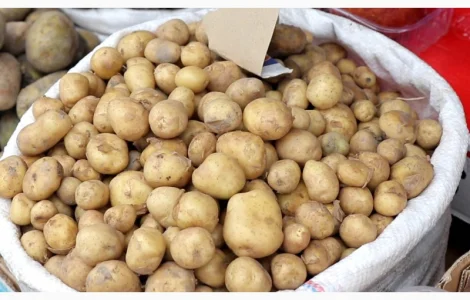 Молода картопля з Азербайджану гуртом від 10 тонн