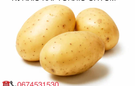 Куплю картоплю обʼєм