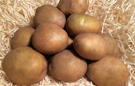 Закуповуємо картоплю оптом! Київ та область