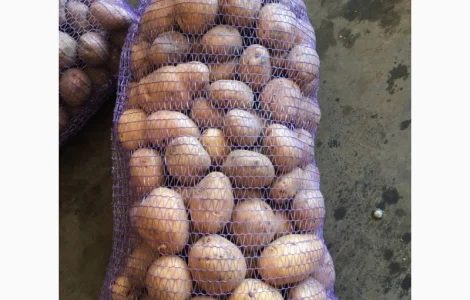 Продам товарну картоплю (запакована протягом 5 днів)