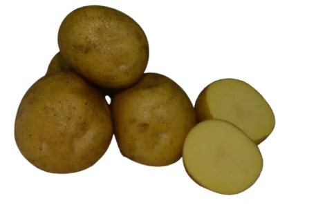 Продам насіннєву картоплю