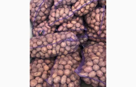 Купую товарну картоплю від 4-23 тон