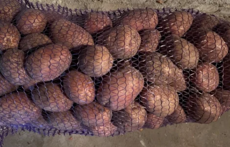 Продам картошку