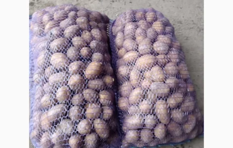 Картопля столова