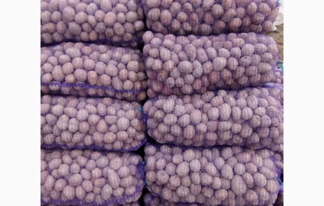 Продам насіневу картоплю різних сортів