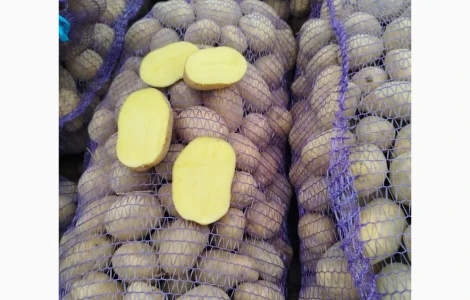 Продам картоплю