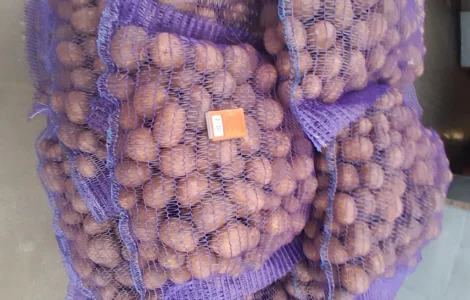 Продам картоплю