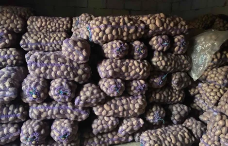 Продам картоплю товарну