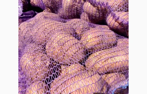 Продаж картоплі 2 сорту в Дніпрі