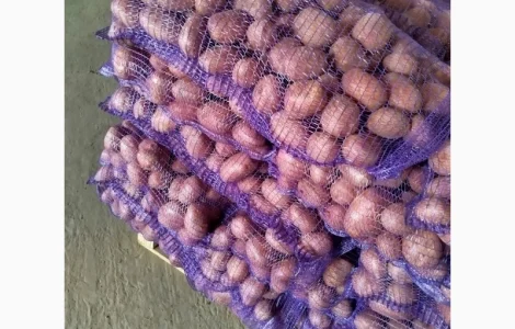 Продам товарну картоплю