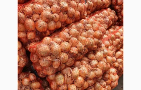 Продам борщевой набор от производителей и поставщиков с 10 тонн