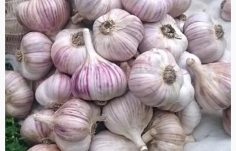 Оптом овощи: картошка, капуста, морковь и другие