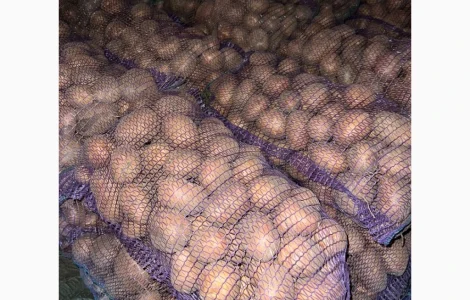 Продається борщ набір по хорошим цінам