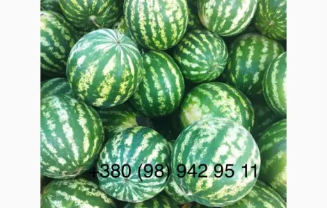 Солодкий кавун на продажу