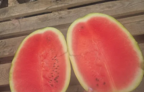 Продам арбуз