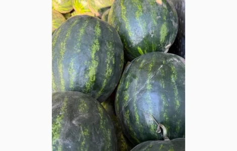 Кавун Арбуз Баштан