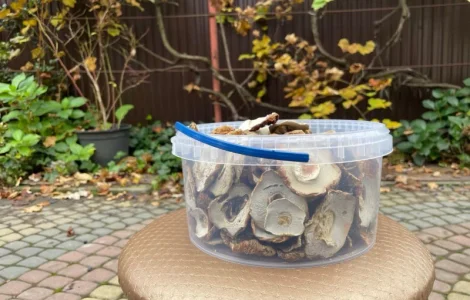 Гриби білі сушені