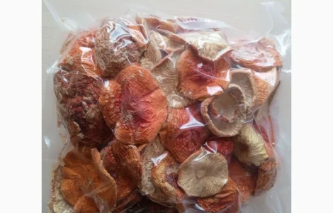 Продам червоні сушені мухомори