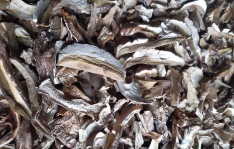 Продам білі сушені 2500.кіло