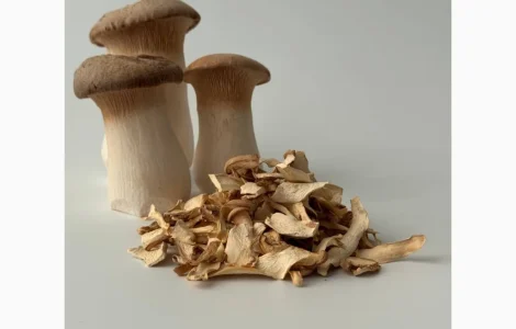 Сушені гриби ерінги