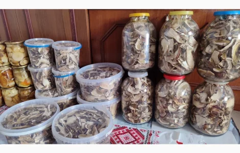 Сушені білі гриби