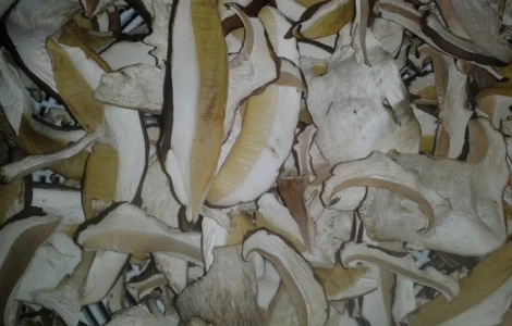 Продам білий гриб сушений