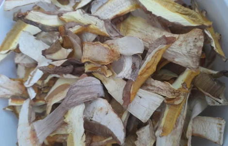 Білий гриб сушений