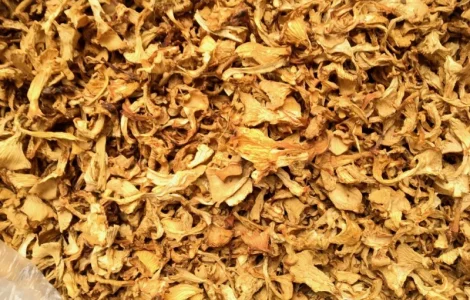 Лисичка сушена 2021