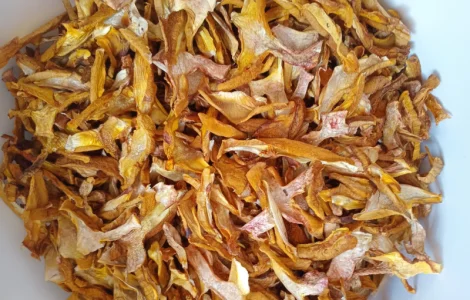 Пробам маслюк сушений