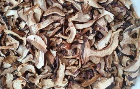 Продам польський гриб сушений