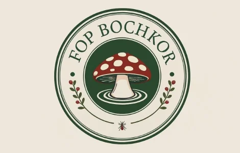 Купуємо сушений червоний мухомор