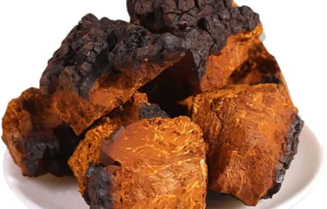 Чага березова в кусках сушена