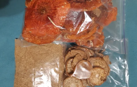 Сушеные грибы червоний 2025 года на продажу