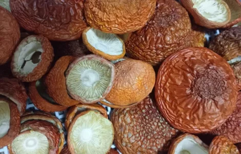 Шапки червоного мухомора