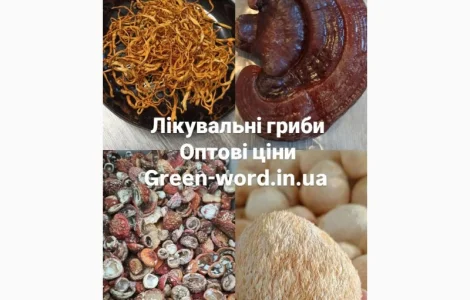 Лікувальні гриби