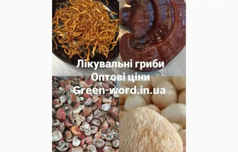 Лікувальні гриби на продаж