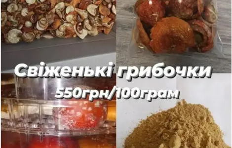 Сушені мухомори оптом