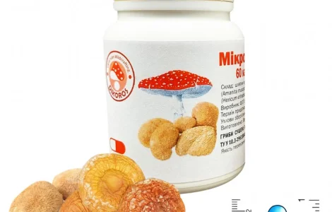 Мікродозінг MIX (Їжовик + мухомор червоний)