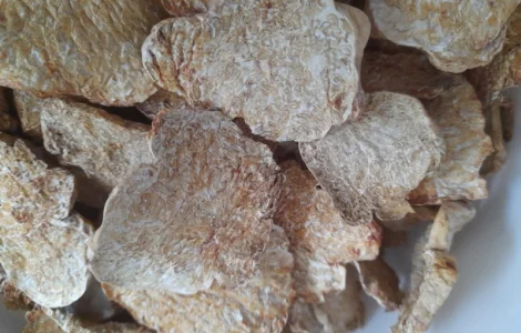 Білий трюфель