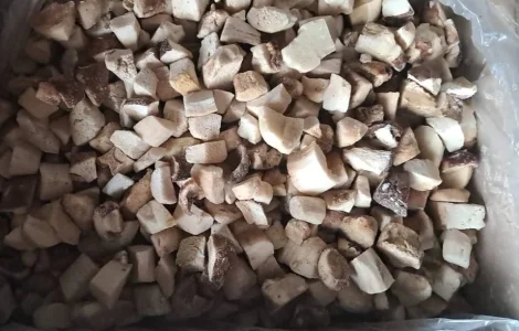 Продам заморожені білі гриби (кубики) - оптом 1 сорт