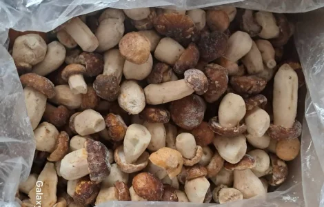 Продажа замороженных белых грибов Пикало