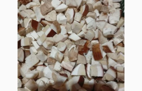 Продам білий гриб заморожений кубик