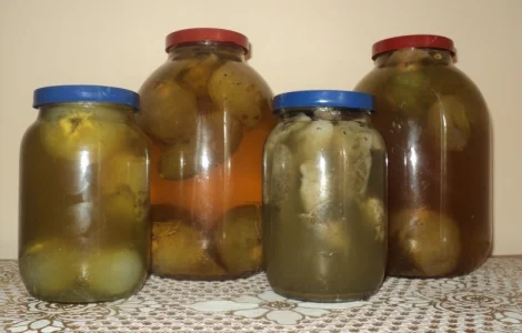 Настойка гриба "веселки"