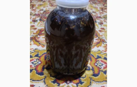 Екстракт ЧАГИ з берези