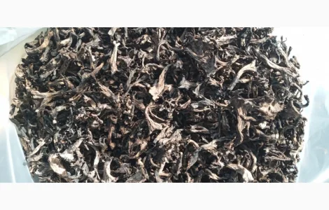 Лисичка чорна