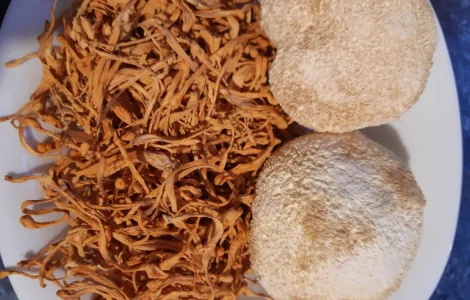 Продам ежовик